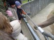 Zoo 2011 (395)